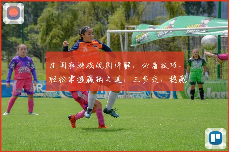 庄闲和游戏规则详解，必看技巧，轻松掌握赢钱之道，三步走，稳赢不赔