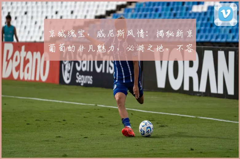 京城瑰宝，威尼斯风情：揭秘新京葡萄的非凡魅力，必游之地，不容错过
