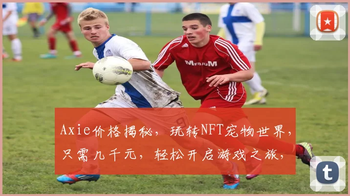 Axie价格揭秘，玩转NFT宠物世界，只需几千元，轻松开启游戏之旅，体验不一样