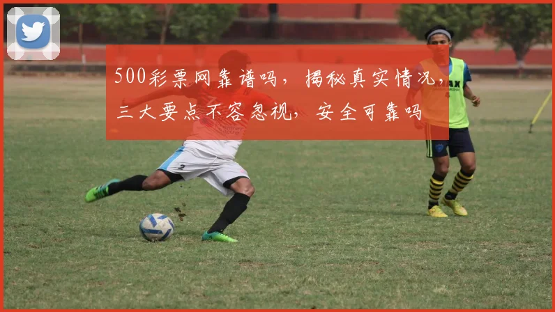 500彩票网靠谱吗，揭秘真实情况，三大要点不容忽视，安全可靠吗
