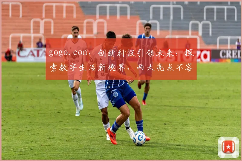 gogo.con，创新科技引领未来，探索数字生活新境界，两大亮点不容错过