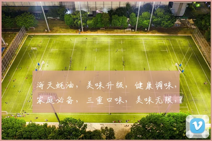 海天蚝油，美味升级，健康调味，家庭必备，三重口味，美味无限，尽享美味佳肴